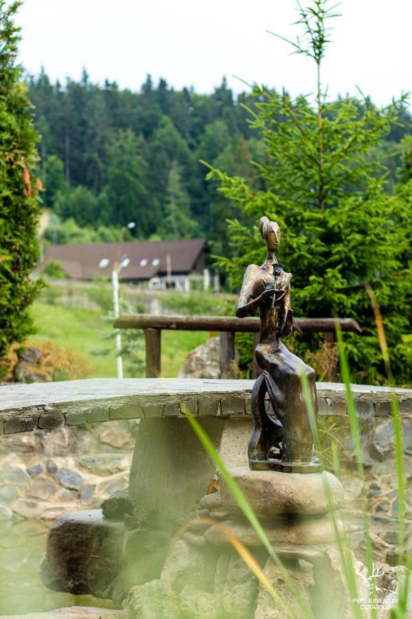 Pensiunea Lin Cota 1000 Sinaia Luaran gambar